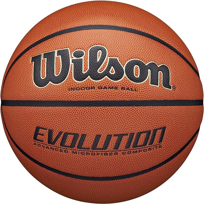 Wilson evolution indoor basketball